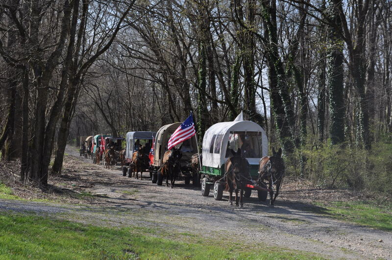 the mule train traveling through Elkmont, Alabama