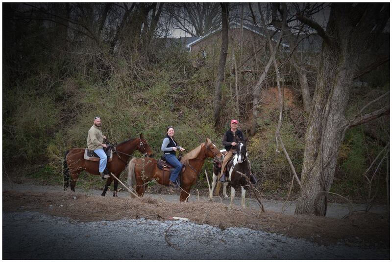 Horseonthe Richard Martin Trail in Elkmont Alabama