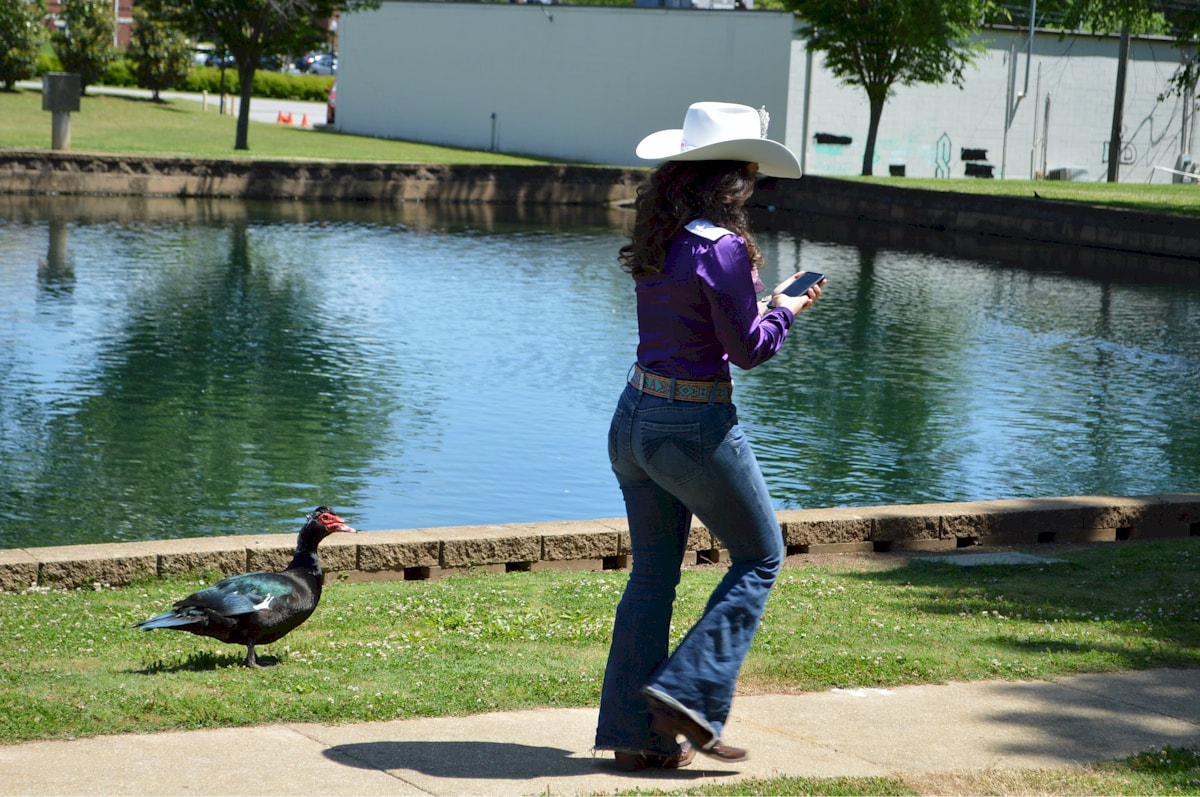 Ducks following our rodeo queen