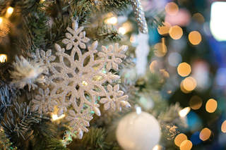 Snowflake ornament on a tree